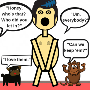 The Day My Blog Went Public